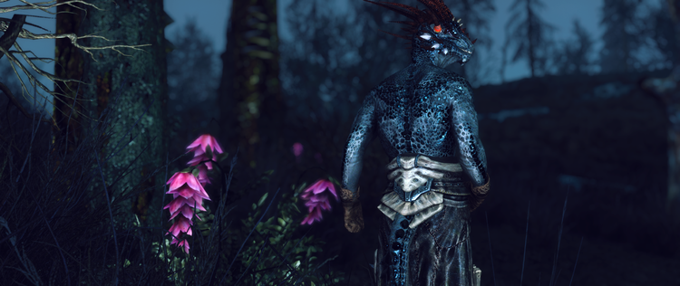 5ad75e943aae2_ElderScrollsVSkyrimScreenshot2018_04.18-07.50_04_05.thumb.png.95cf10282c6d7ff6c78dff7e2ab2ea2e.png