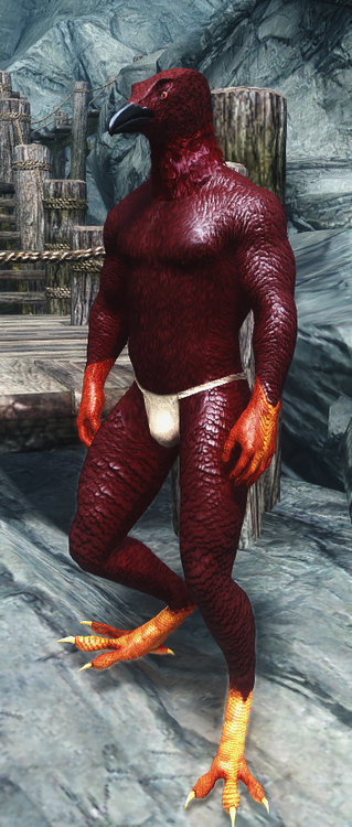 Robin2 full.jpg