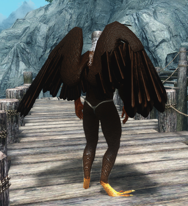 Wings 5.jpg