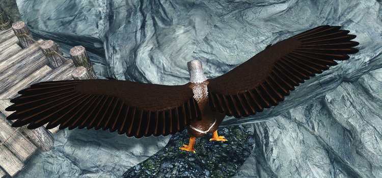 Wings 4.jpg