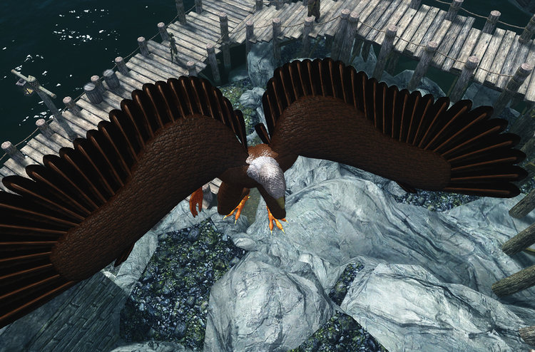 Wings 3.jpg