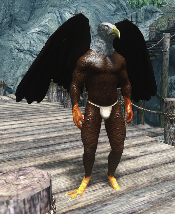 Wings 2.jpg