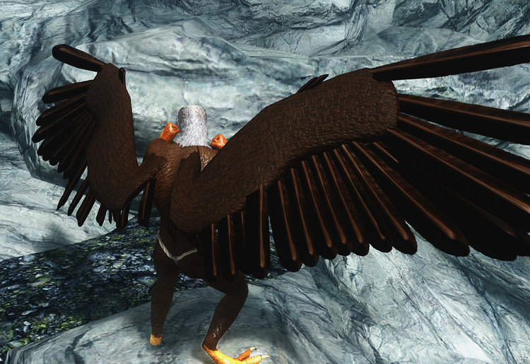 Wings 1.jpg
