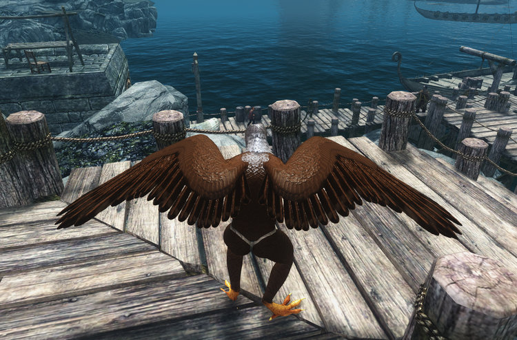 Wings 22.jpg
