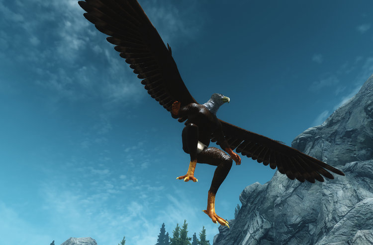 Wings 21.jpg