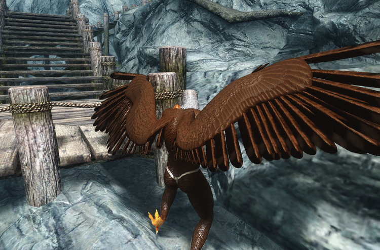 Wings 23.jpg