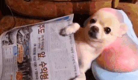 5ae09b5a34411_relaxmen.gif.68cdbf4295fec6a7599ffe7f82a9701b.gif