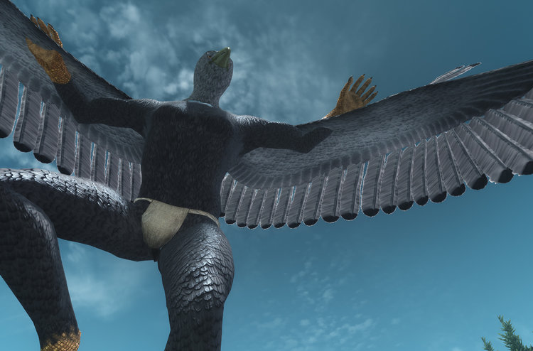 Seagull 5.jpg