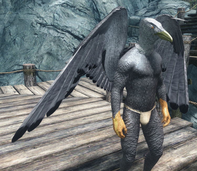 Seagull 3.jpg
