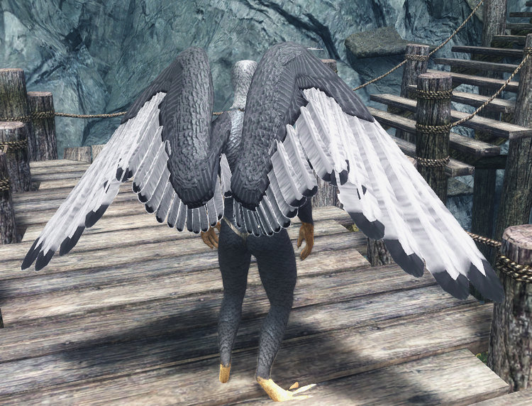 Seagull 2.jpg
