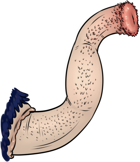 5ae23657a96bb_MaleUlriErect.png.745816c29d1652ddff10e8f833e56cfc.png