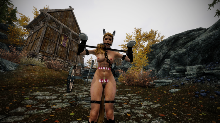 Elder Scrolls V  Skyrim Screenshot 2018.04.27 - 13.20.50.37.png