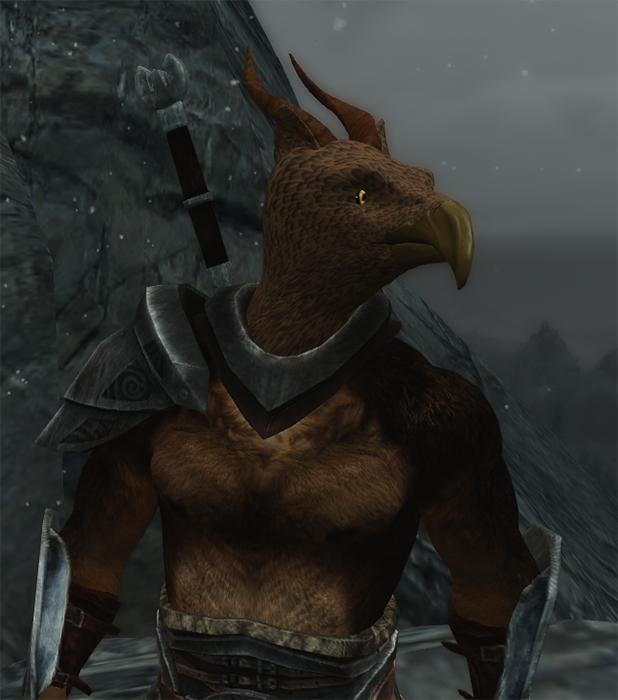 Bird08.png