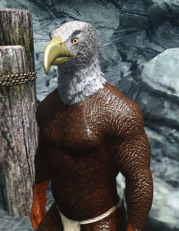 Eagle.jpg