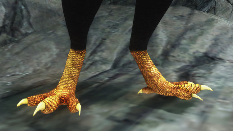 Feet.jpg