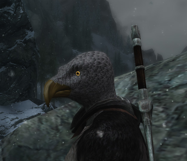 Head11.jpg