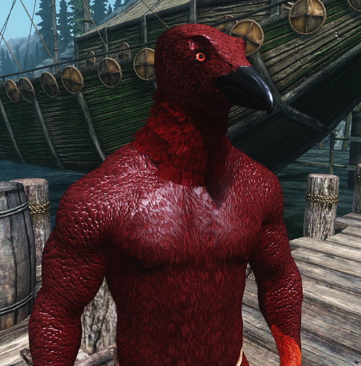 Robin2.jpg