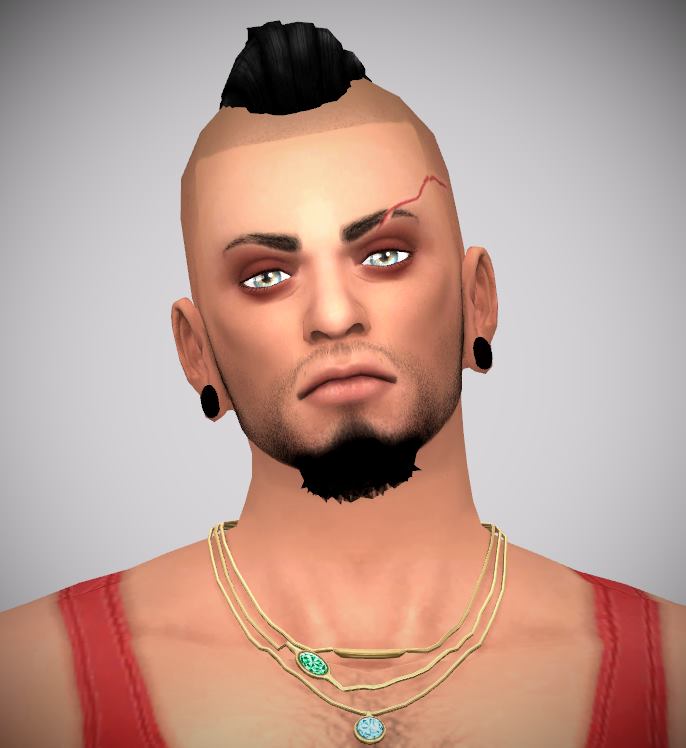 Vaas.jpg.3424cdbab0ac10ca45470d5faf6515c1.jpg