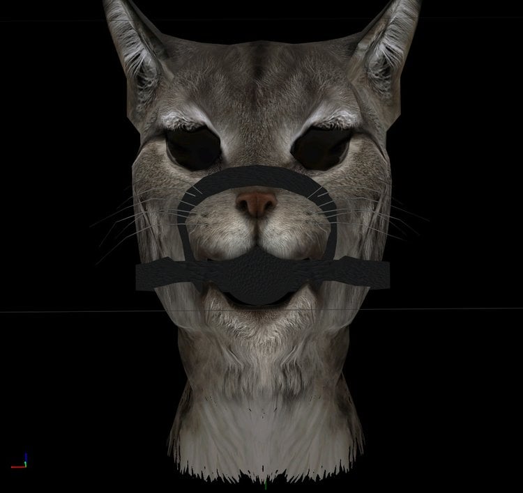 ZazBallgagKhajiit_20180410_20-24-50.jpg