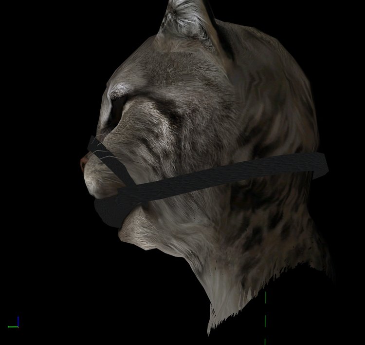 ZazBallgagKhajiit_20180410_20-24-55.jpg