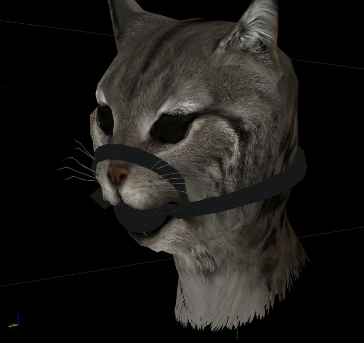 ZazBallgagKhajiit_20180410_20-25-00.jpg
