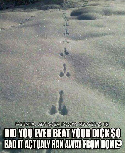 de32312b6fe2430252f903d0c00b014c--funny-humour-sarcasm-humor.jpg.f77f045915c4e59a629b0b439c1aabcb.jpg