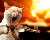 ganstercat.gif.6b9d62f00ed2b47106f5b02b8def0d55.gif