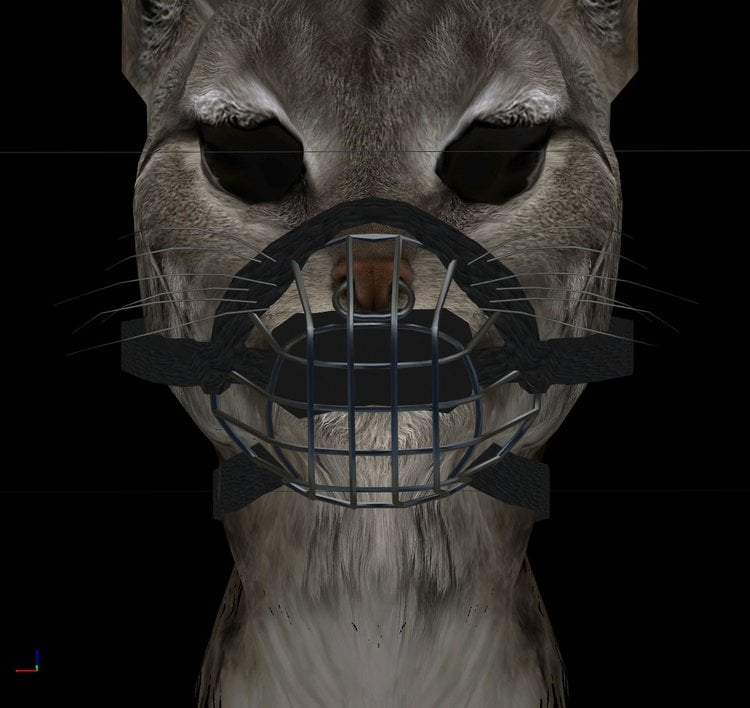 muzzle1f0_1_20180410_20-22-47.jpg