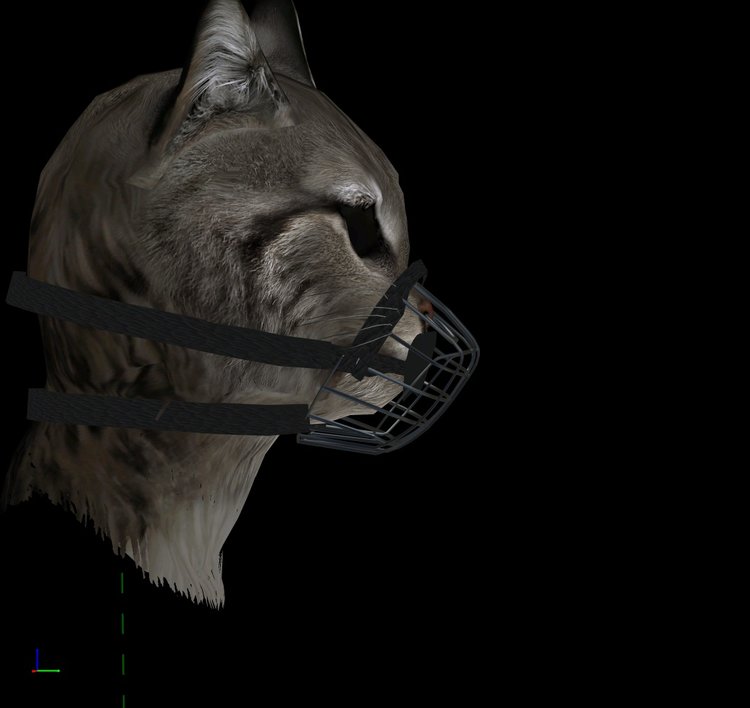 muzzle1f0_1_20180410_20-22-52.jpg