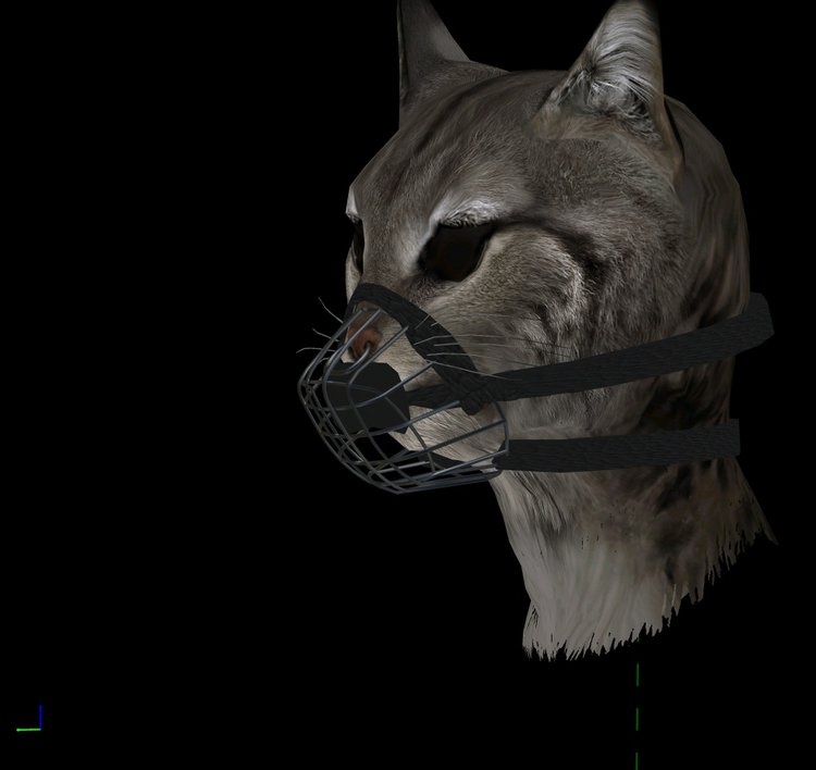 muzzle1f0_1_20180410_20-23-05.jpg
