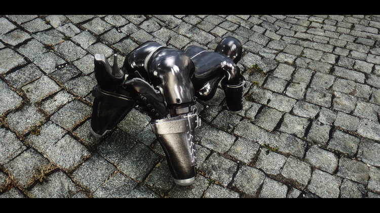 petsuit_pic1.thumb.jpg.254e6a52cb9b4c51c3461f1961ab8dd3.jpg