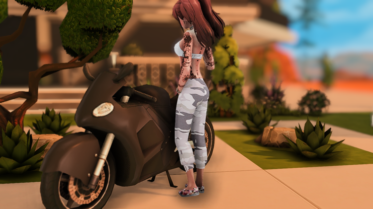 TS4_x64 2018-05-29 03-49-36.png
