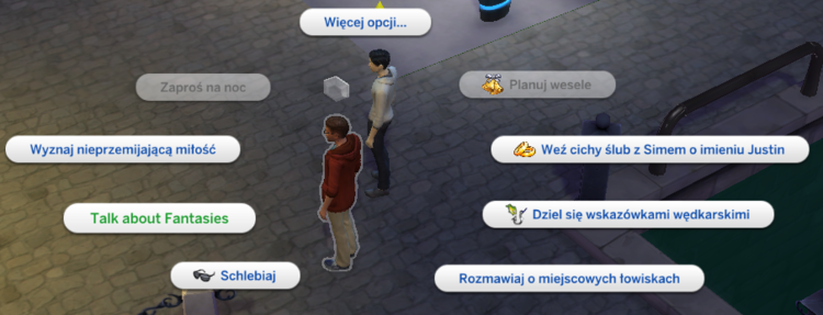 Zrzut ekranu (19).png