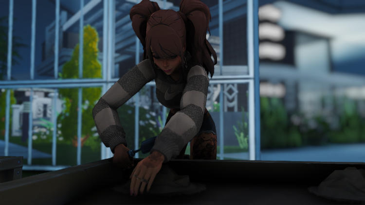 TS4_x64 2018-05-28 03-29-48.png