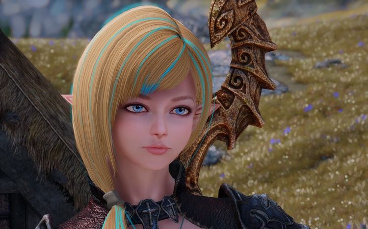 Elder Scrolls V  Skyrim Screenshot 2018.04.30 - 12.05.02.32.png