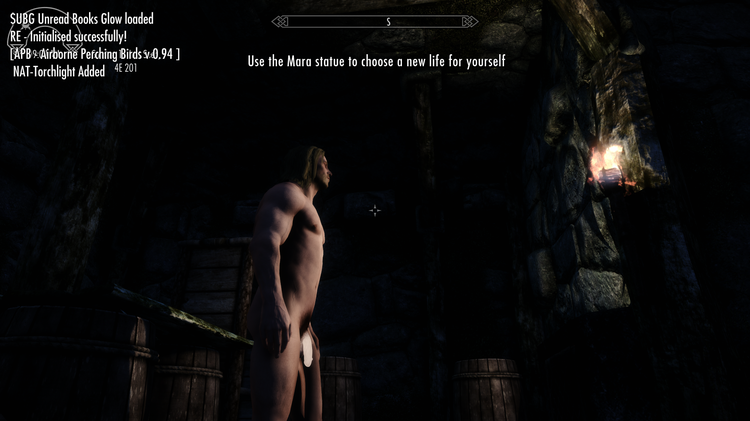 The Elder Scrolls V  Skyrim Special Edition Screenshot 2018.05.01 - 17.29.25.29.png