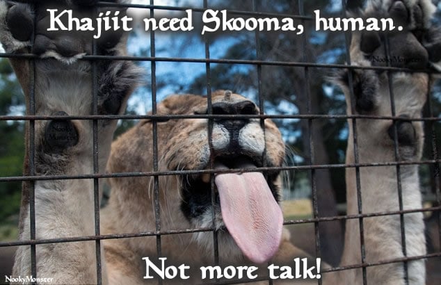 5ae8e30c71e34_KhajiitneedSkooma.jpg.79a09f85a10808665bda61af43912f61.jpg