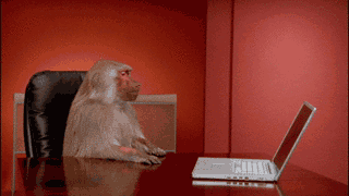 5af7dc58aae90_giphy(3).gif.784b306c7d4072aa4cc04412effa485d.gif