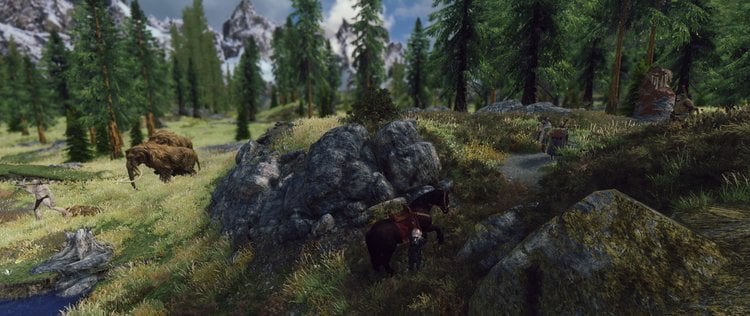 5af7eaca64f23_enb2018_05_1312_33_54_54.thumb.jpg.c43de291d232ae563df775d10682b216.jpg