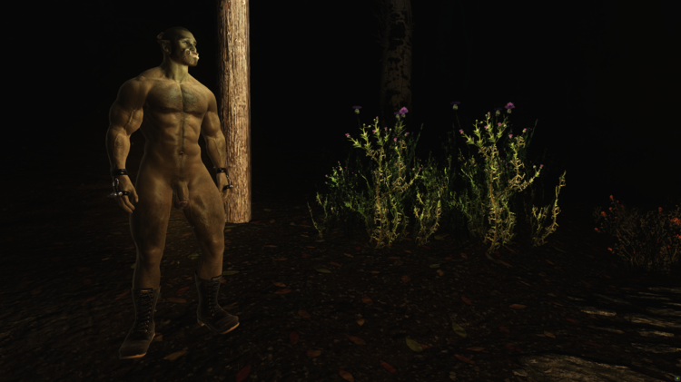 5af8917e0f862_Skyrim13_05.201821_23_48.thumb.png.939b5129b559024d543434e662f664c1.png