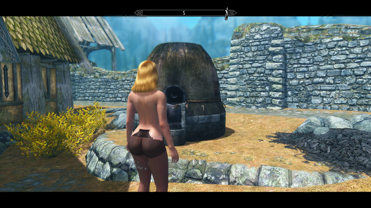 Elder Scrolls V  Skyrim Screenshot 2018.05.18 - 09.27.03.61.png