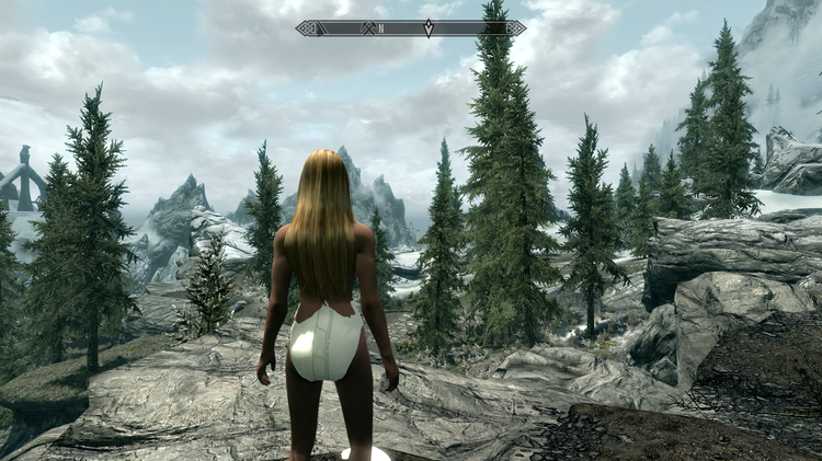 Elder Scrolls V  Skyrim Screenshot 2018.05.31 - 00.00.56.61.png