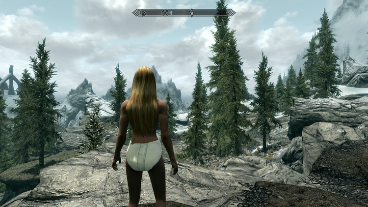 Elder Scrolls V  Skyrim Screenshot 2018.05.31 - 00.00.38.76.png