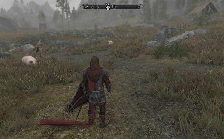 skyrim cape bug.jpg