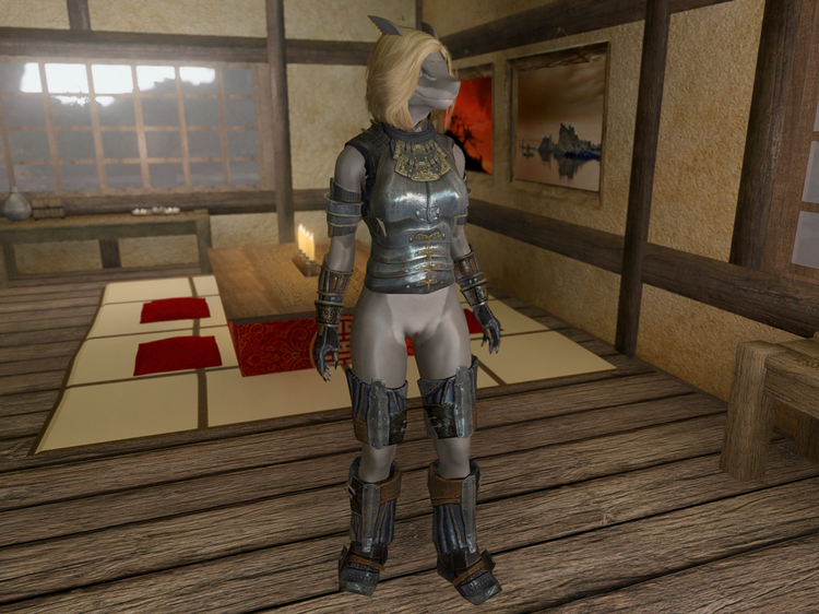 Armor_Female_5.png