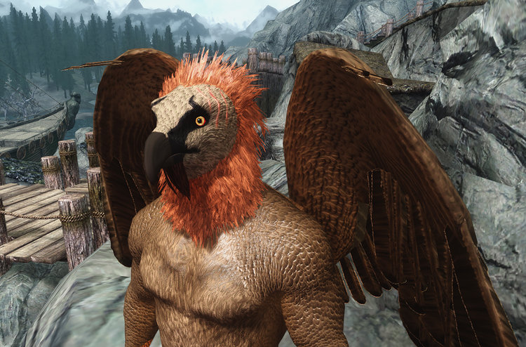 Lammergeier.jpg