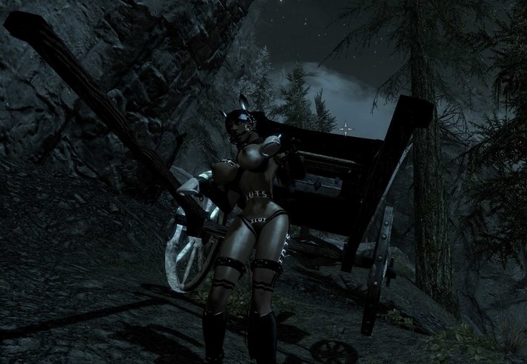 PonyGirl01.jpg