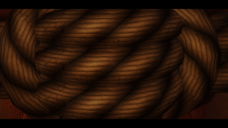 RopeTextureDetail.thumb.jpg.27caec7396b9bd2d7878f721391f8fd4.jpg