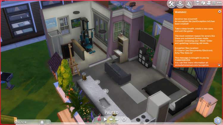 SIMS2.png