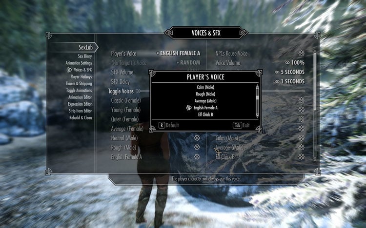 SL_Voices.jpg